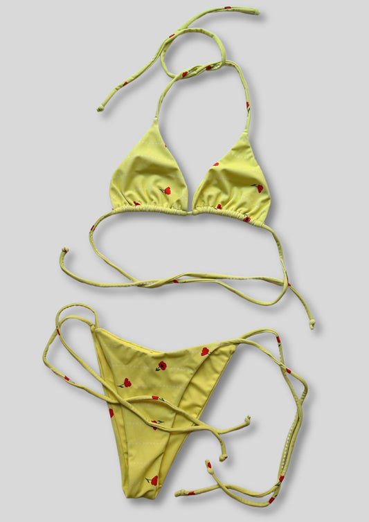 Bikini Provenza
